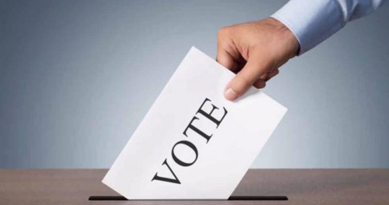 Board election 2019